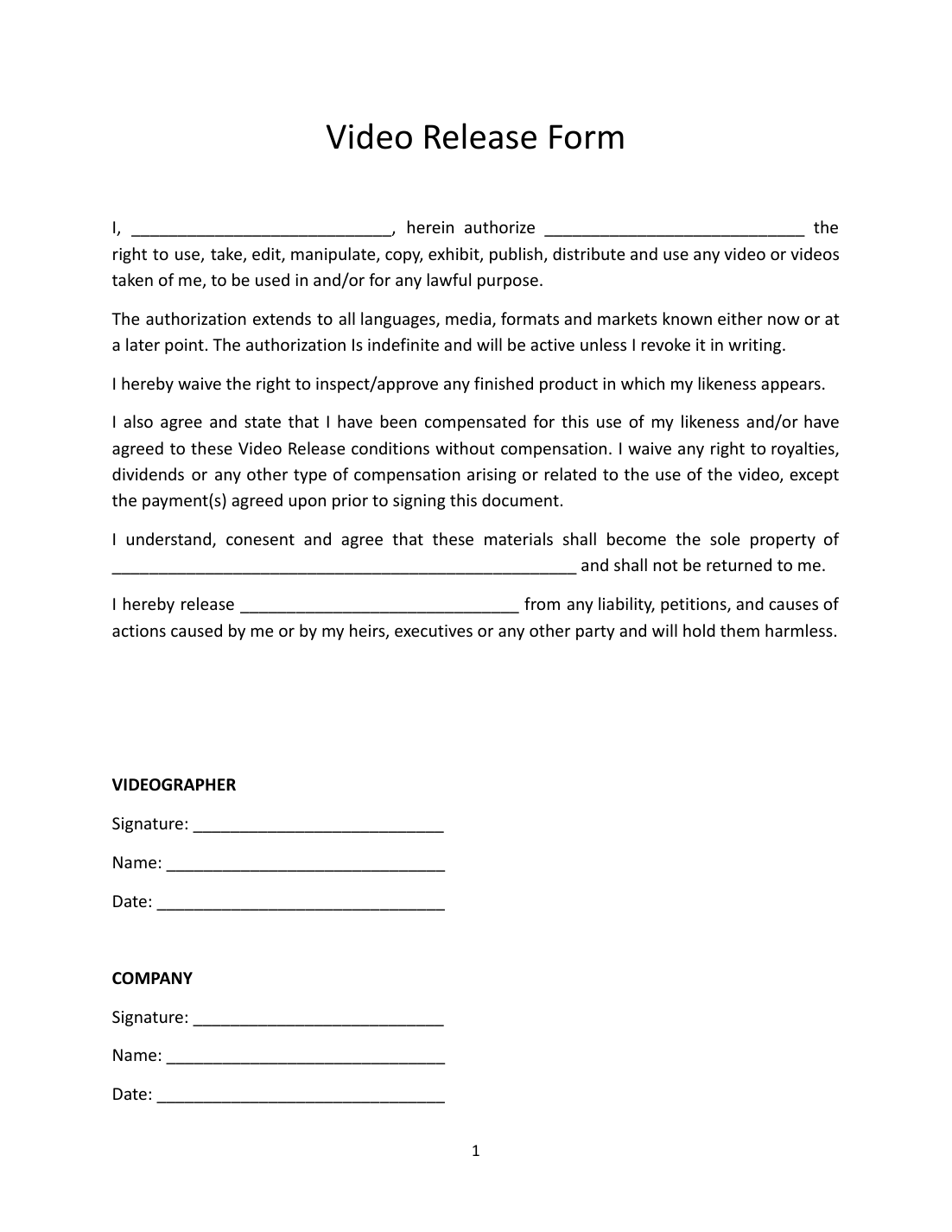 Video Release Form Template preview